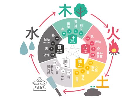 火日金水|木火土金水で性格診断？生まれた年で体質や病気はわ。